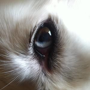 Meet your Posher, Pamela